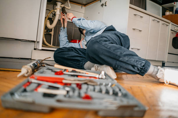 Best Plumbing Services Near Me  in Shoemakersville, PA