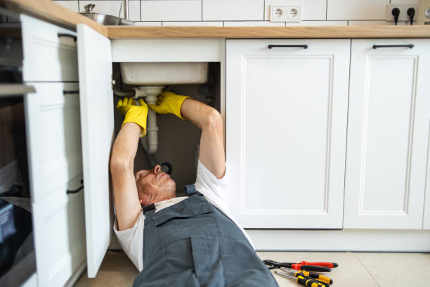 Best Local Plumber Services  in Shoemakersville, PA