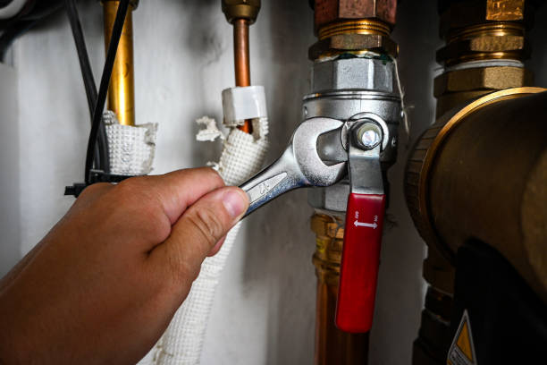 Best Clogged Drain Plumber  in Shoemakersville, PA